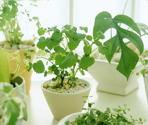 新房裝修異味對(duì)人體危害的征兆